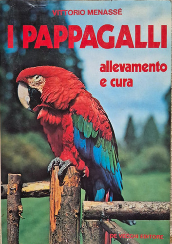 Pappagalli allevamento e - pappagalli,