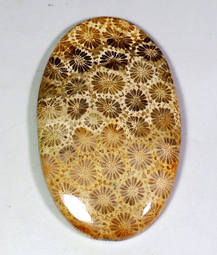 6x33x53 mm naturale - 93,