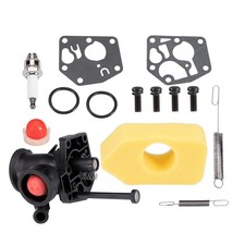 Carburatore 494406 499809