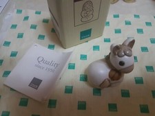 Meraviglioso Asinello bianco