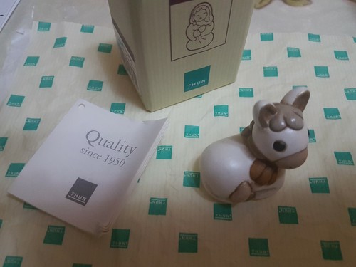 Meraviglioso asinello bianco - asinello,