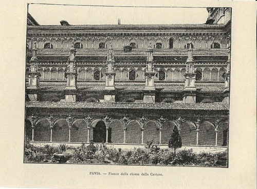 Stampa antica pavia - stampa, scorcio