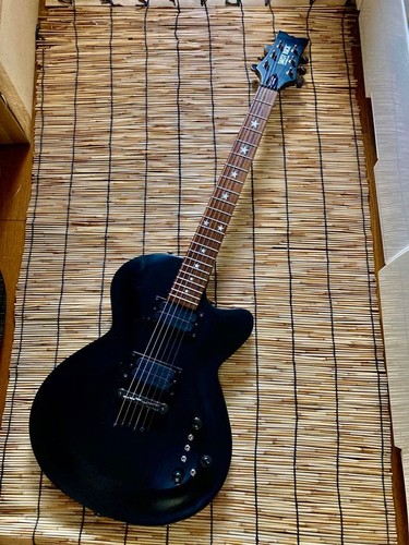 Rara chitarra elettrica daisy - rara,
