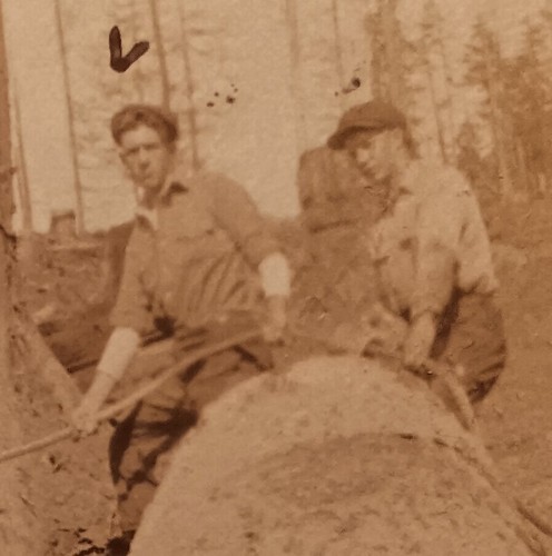 1915 logging vintage - 1915,