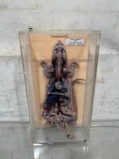 Sezione di Ratto Topo (Rattus Norvegicus) in formalina