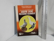 (Allevamento) ANATRE OCHE