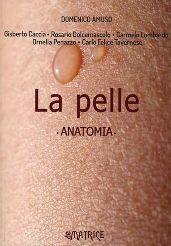 Libri domenico amuso la - libri,