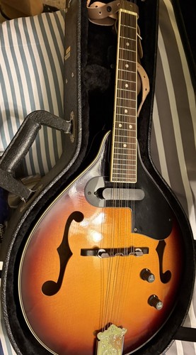 Fender corde mandolino - fender, 8