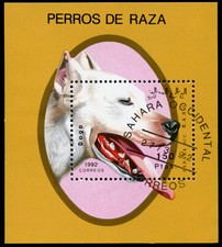 DOGO ARGENTINO ARGENTINE