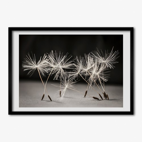 Quadro tulup mdf incorniciato - quadro,