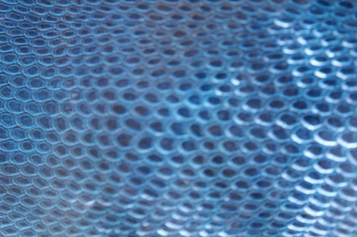 Pelle pellame blu stampa - pellame,