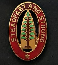 ESERCITO AMERICANO V CORPO