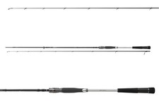 Daiwa Morethan AGS 3,10 m /