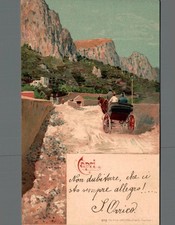 Naples Capri view, horse