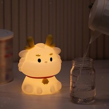 Luci notturne del drago per