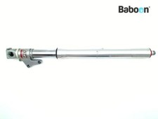 Gamba forcella anteriore