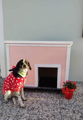 Cuccia coibentata per - cuccia,