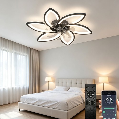 Lampada ventilatore soffitto - lampada,