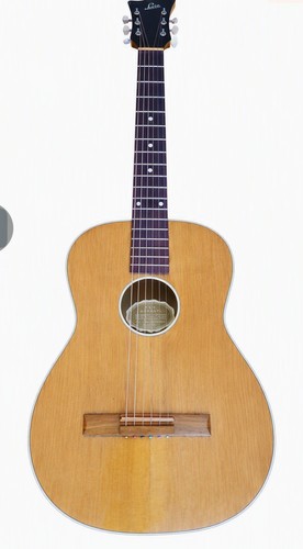 Chitarra herman carlson - chitarra,