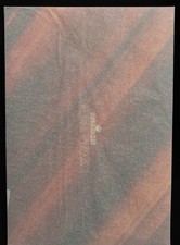 SECONDA ASCIA Hentai Action