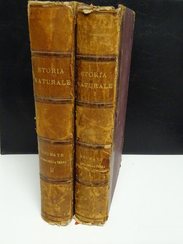 Storia naturale - storia, –