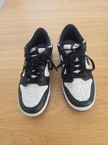Nike youth dunk low - nike,