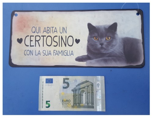 Targa vintage gatto qui - targa, gatto,