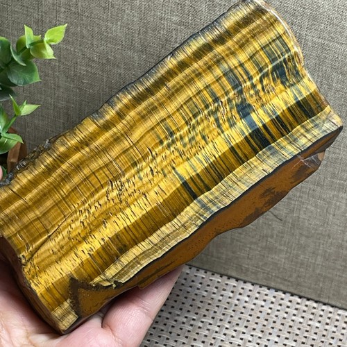 581g occhio tigre - 581g, di