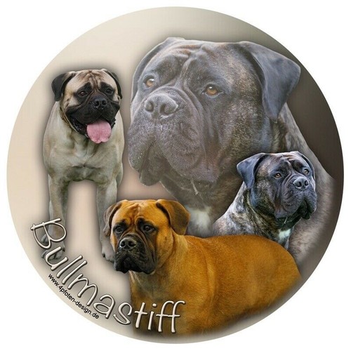 Adesivo auto bullmastiff - adesivo,