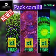 ✅NOVITÀ ! PACK 3 CORALLI