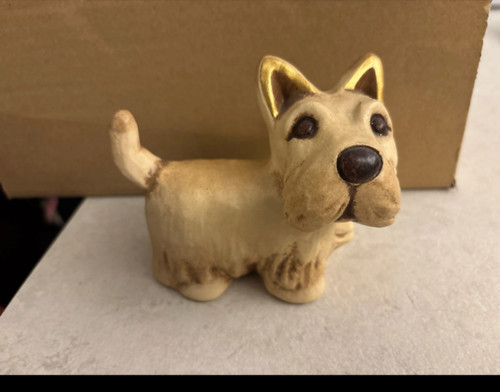 Thun cane schnauzer - schnauzer, medio