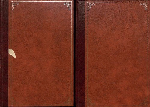 Demoni volume 2 - demoni.,