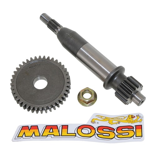 Trasmissione malossi primaria - trasmissione,
