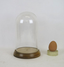 CAMPANA DI VETRO ANTICA CON BASE DI LEGNO CUPOLA ESPOSITORE DI VETRO h20 cm  LN8