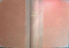 PROBLEMI ED ESERCIZI DI ANALISI MATEMATICA. VOL I-II  BURNENGO GIUSEPPE