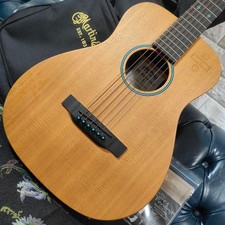 Chitarra elettrica acustica