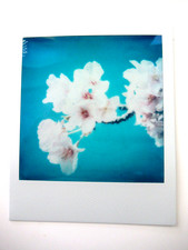 N. ARAKI: ORIGINAL POLAROID