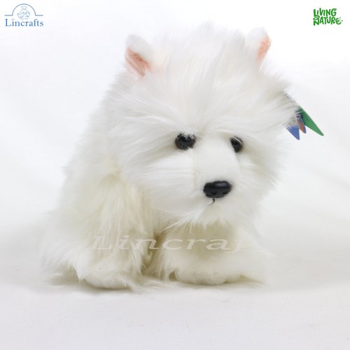 Peluche west highland terrier - west,