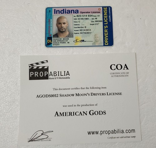 American gods shadow moon - gods,