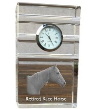 Cavallo da corsa in pensione