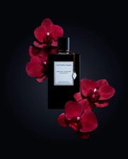 Van Cleef & Arpels Collection
