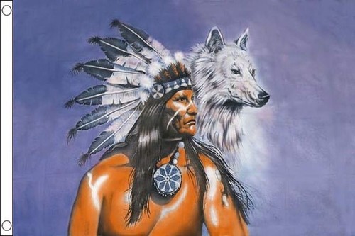 Bandiera indiani nativi - bandiera,