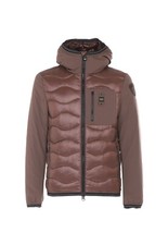 BLAUER onde Giubbino PIUMINO