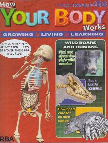 How your body works issue - your,