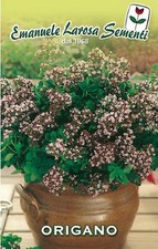 500 Semi / Seeds ORIGANO