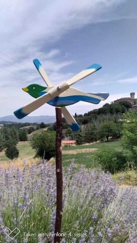 Segnavento animato uccellino - segnavento, -uccellino