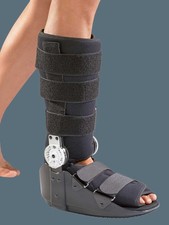 Rom Walker | Ro+Ten - Tutore a