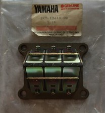 1KT136100000 Valvola Lamellare