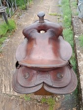 Sella western americana