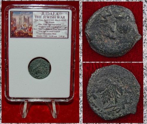 Moneta antica giudea - giudea, guerra